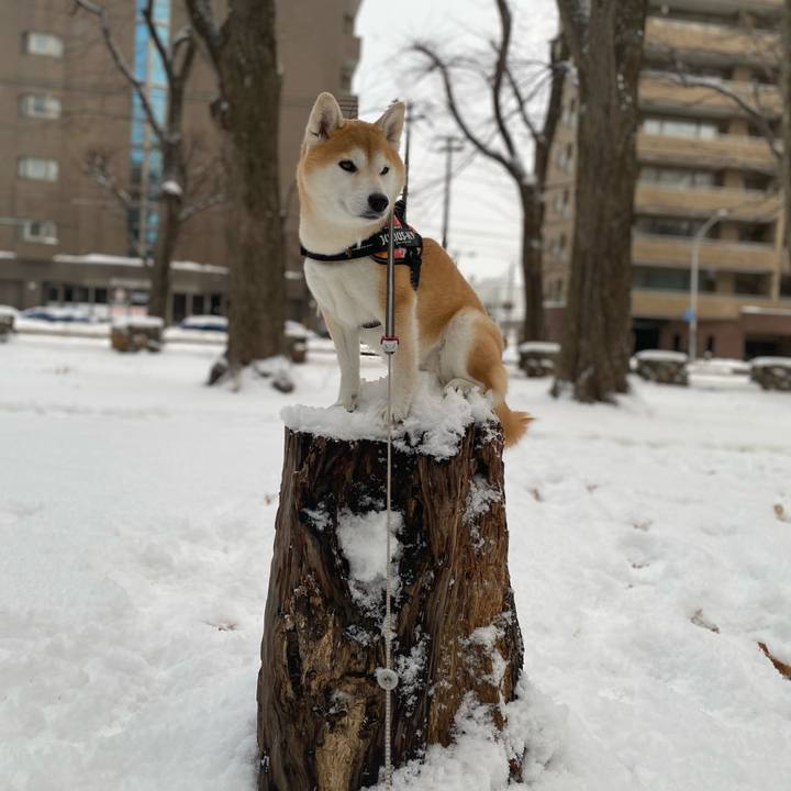 6290d8b8 e9c6 4089 b57e 16c498c8cad8 1610497657101