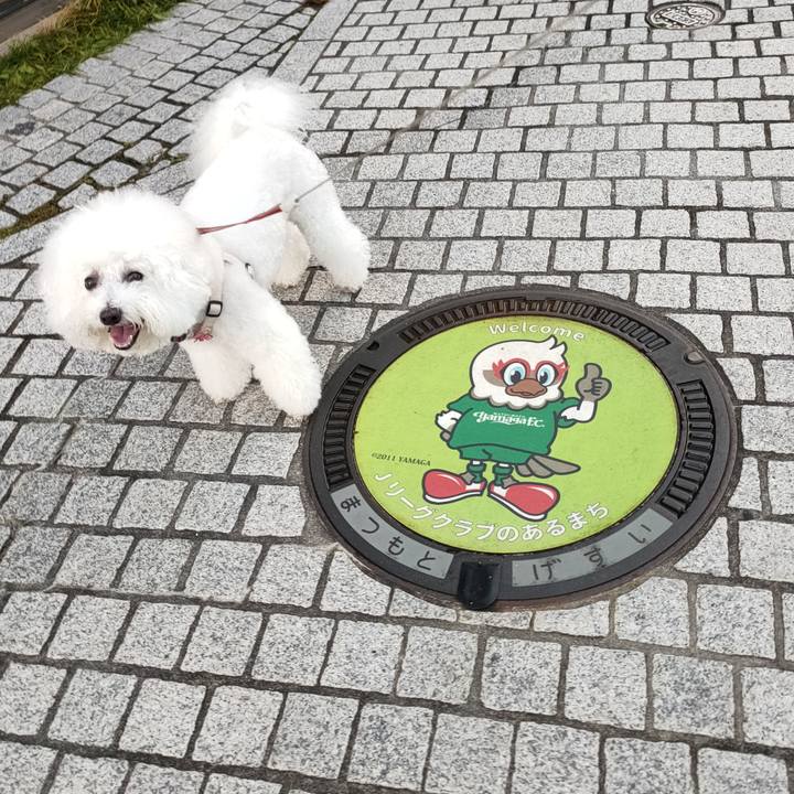 62910620 888a 4146 9abb 302b4cb7c4ee 1762778942705