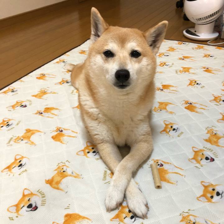 62910a60 f00d 4245 a3f5 4f063b658cb9 1589864682108