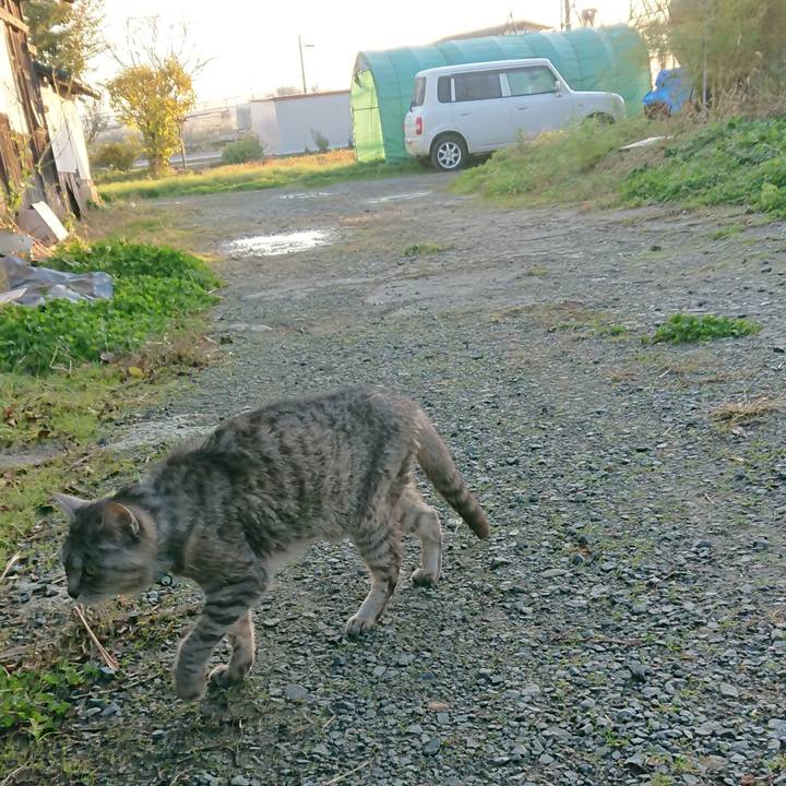 62912eed 338b 4190 9ce0 577047cb5bf3 1573598034313