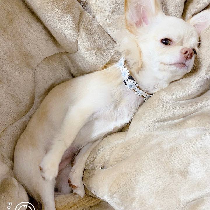 62916330 02fe 4f6c 803a c5db133ed12a 1606773820408