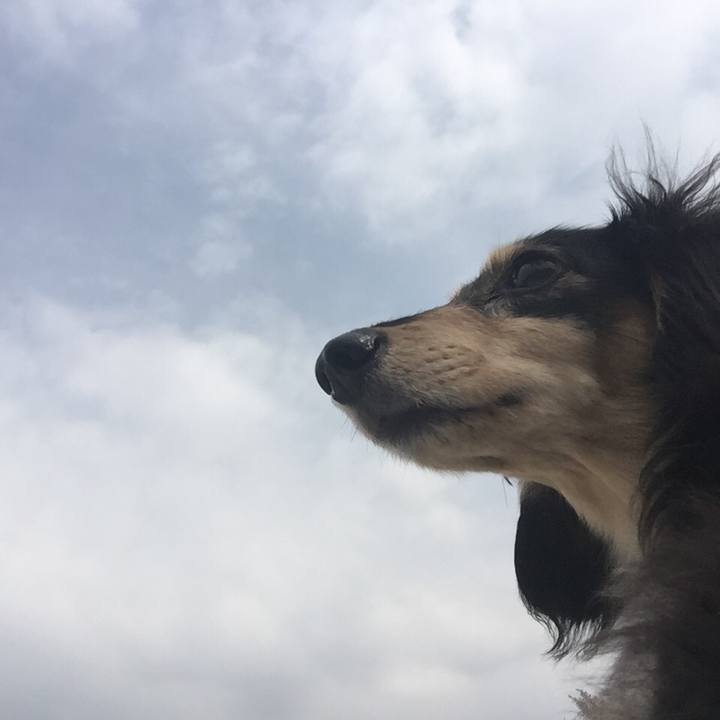 629172de 4d07 46ab 940c ff1f4cc86f21 1523239095686