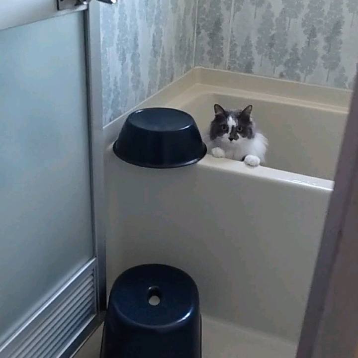 629190fb 67d3 412a abaa e5b63428de94 1685785704309