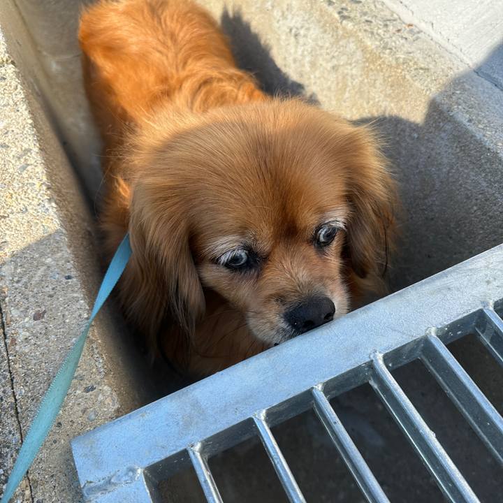 62919291 8a74 4094 8071 f98cc3d9c75b 1754094931499