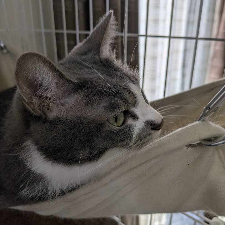 629222cd 6870 42ca 9fe9 165f1e26e925 1758687826667