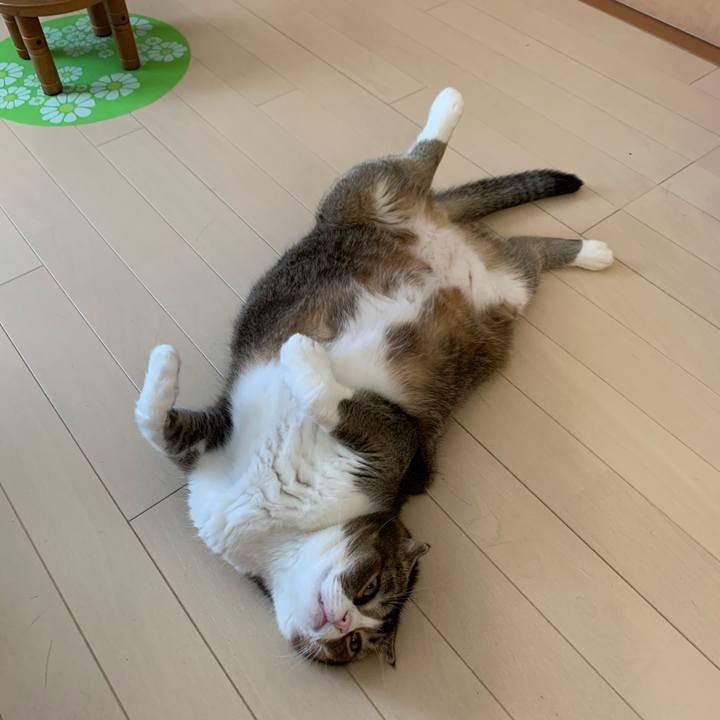 62926537 8340 4c75 9b83 07e6a7cf9e39 1600472832248