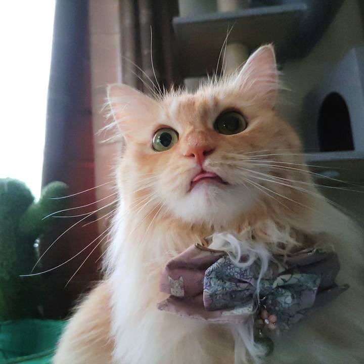 62928a94 3e84 4935 b8d3 db8fdfd4d0d1 1720504167117