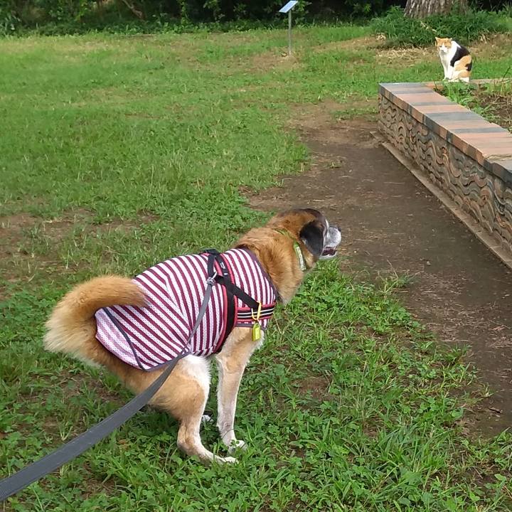 62929075 8d59 4ffc 96cc 38d2a5353ac4 1567382396122