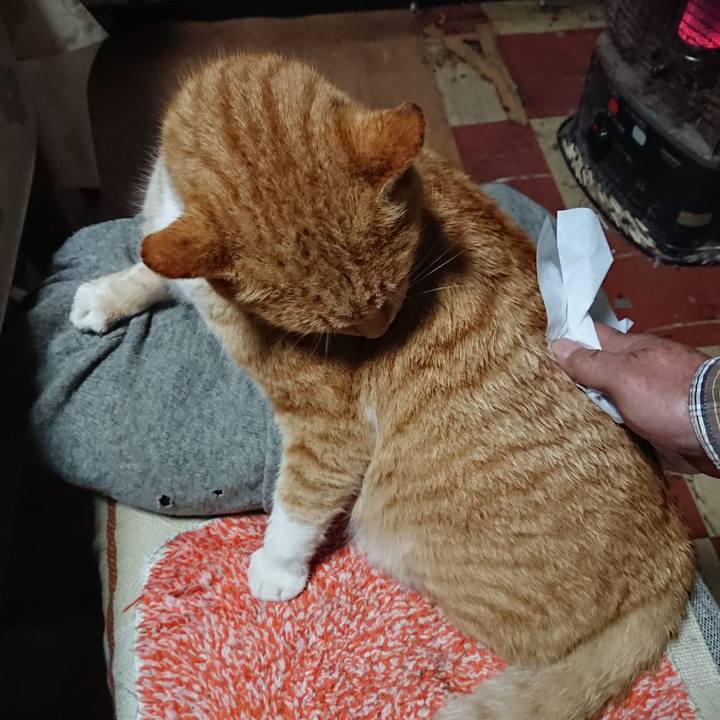 6292b184 3147 47ff a8e4 c93b747566bb 1577746105244