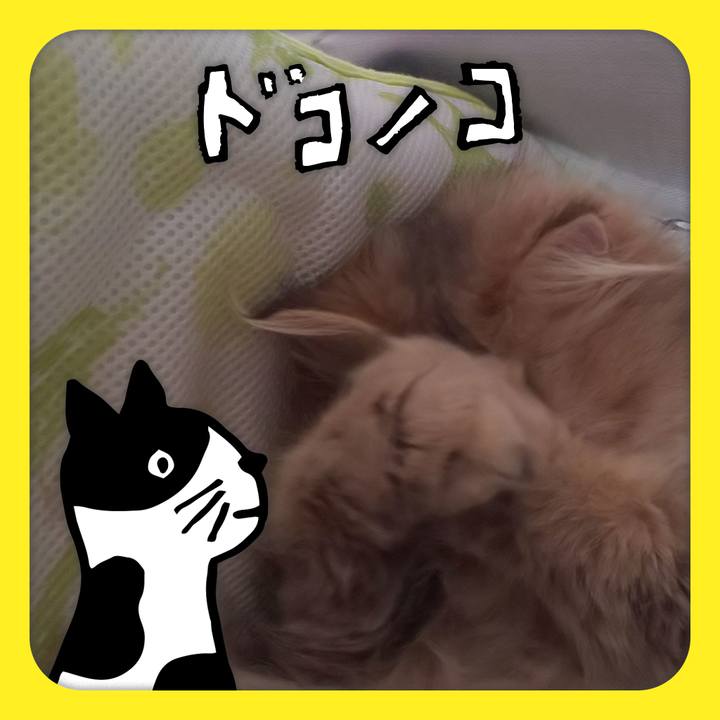 6292cf75 b2ac 4b81 b852 6c05876e8998 1623314480488