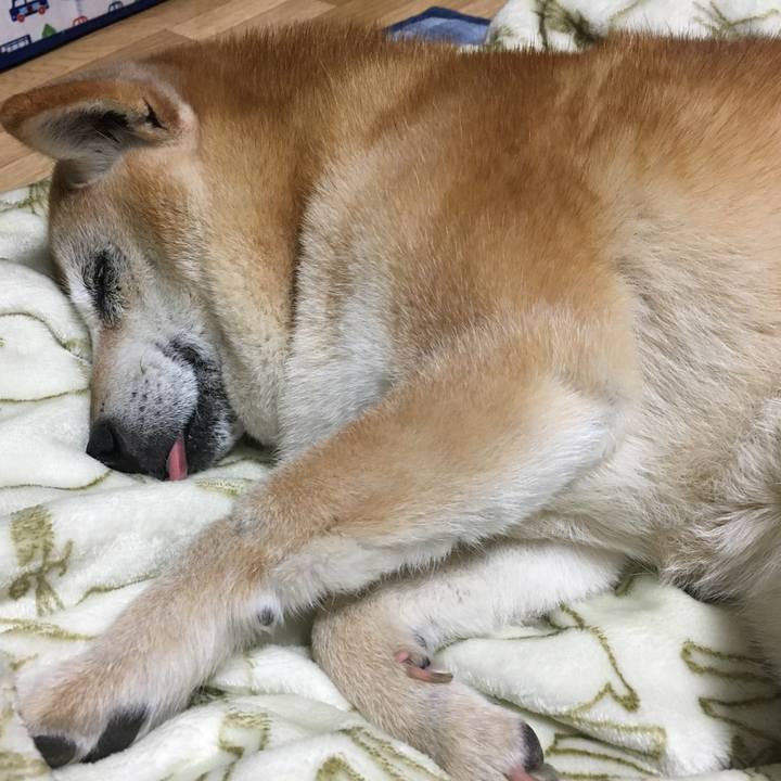 6292d99a 60c9 4a81 a05d 6ac6fd09a23e 1522675907061