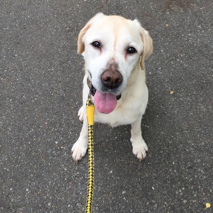 6292f46a c87c 4bb4 8766 36225c3e8f1a 1527040204941