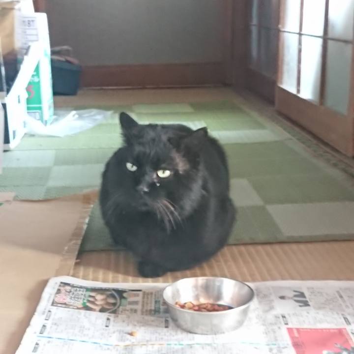 6292fd9b bd2f 42fc b1f4 68878a1b8cbb 1614502303230