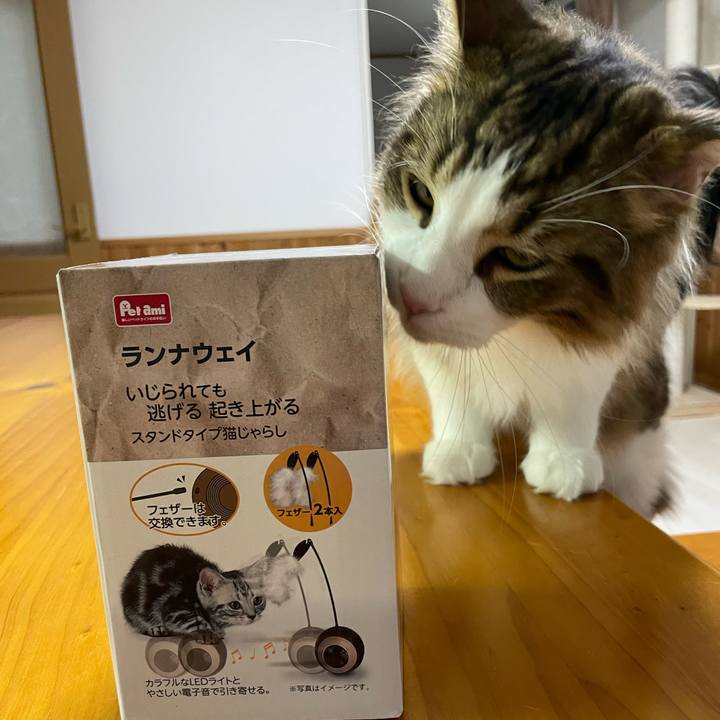 62937de4 bb85 4fd4 bbc7 e8c3e15ba570 1656670192039