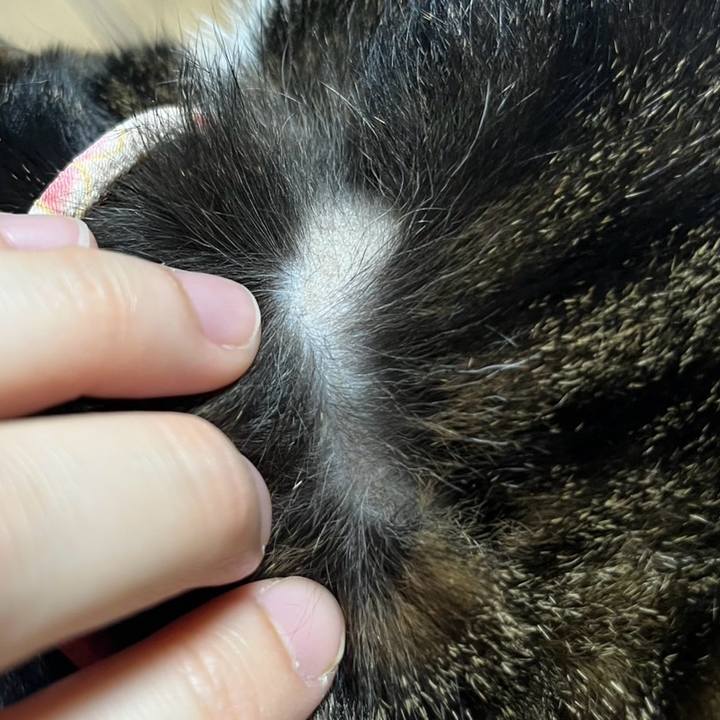 62937f9b 3fbe 4032 8e37 e77dedba2f53 1776640989804