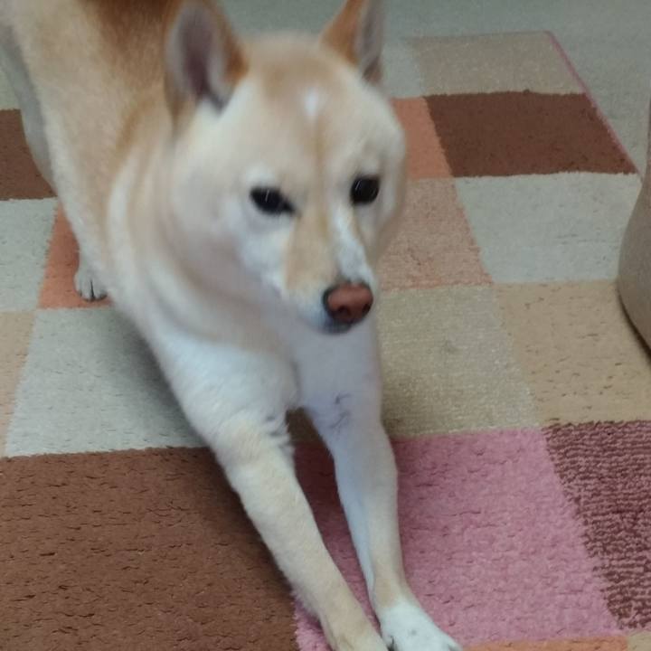 6293b253 fbc3 46ad bdc3 6176cd178760 1580708262062