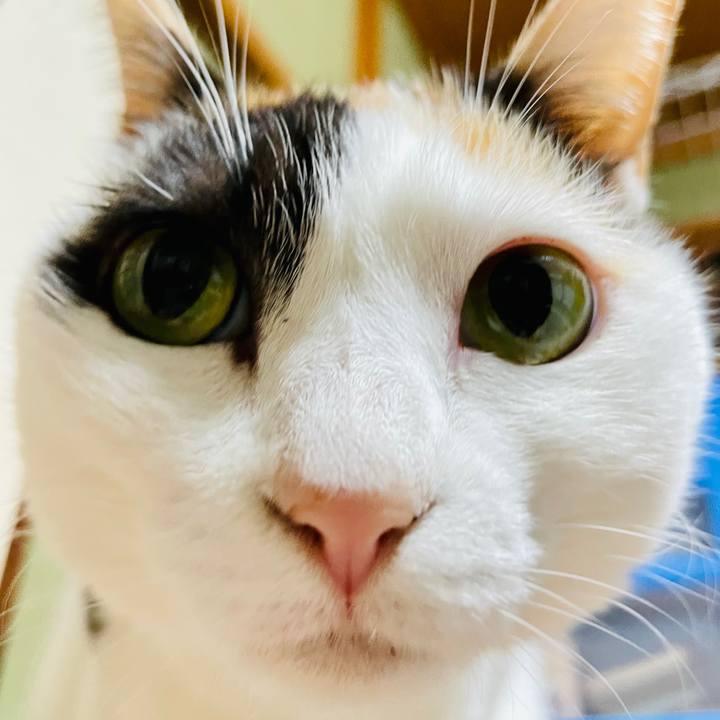 6293cbf6 b60b 4f20 b27a 3262cfb4c6c2 1611972152947