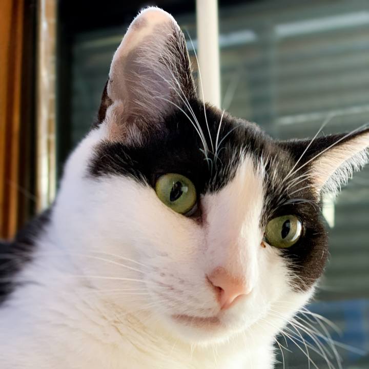 6293e246 8bc7 4e12 89be 6b6c84ff518b 1594086771309