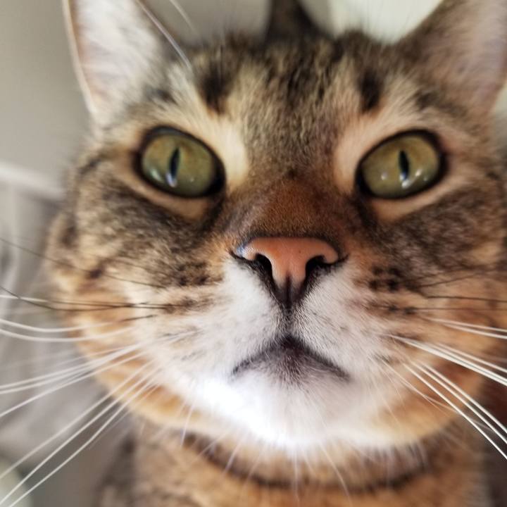 62940ac2 b7f8 4221 bc35 1b1703e65e35 1608942013408