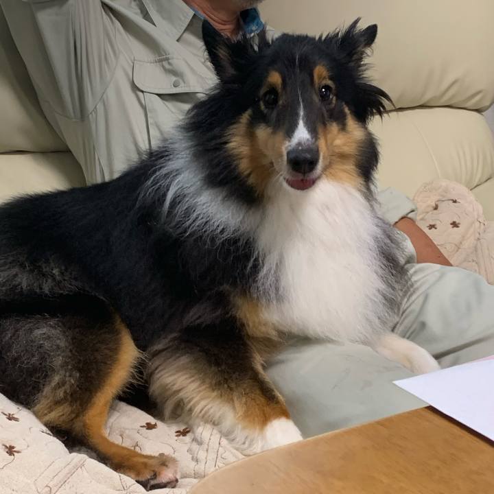 62943e08 55bf 4954 b34a f808cdb922cf 1595887282209