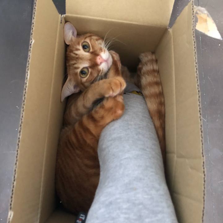 6294861a 1e34 4359 82f9 7072a05d2c68 1627856436426