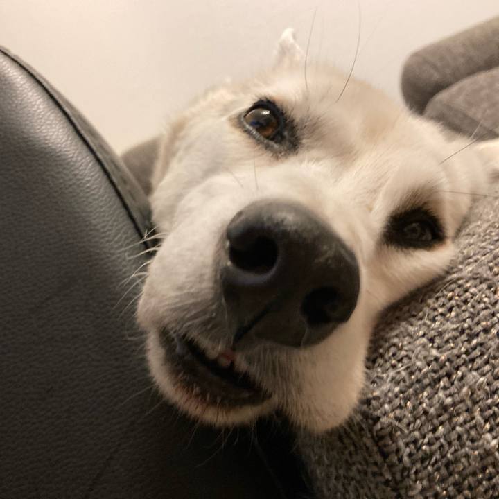 6294cc06 4668 47c8 a8a1 4e59a97abf63 1669480812918