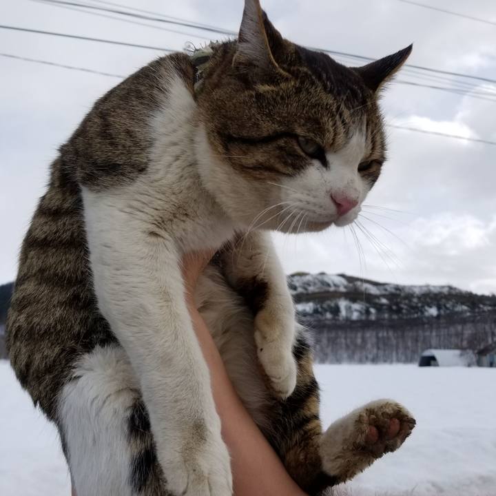 62950696 25e1 404f 82ac 78ad5663f619 1584356122194