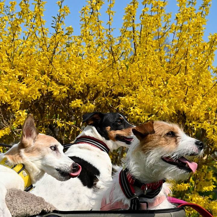 6295187d c9d3 4020 b465 ccc8dbe7a863 1774874002959