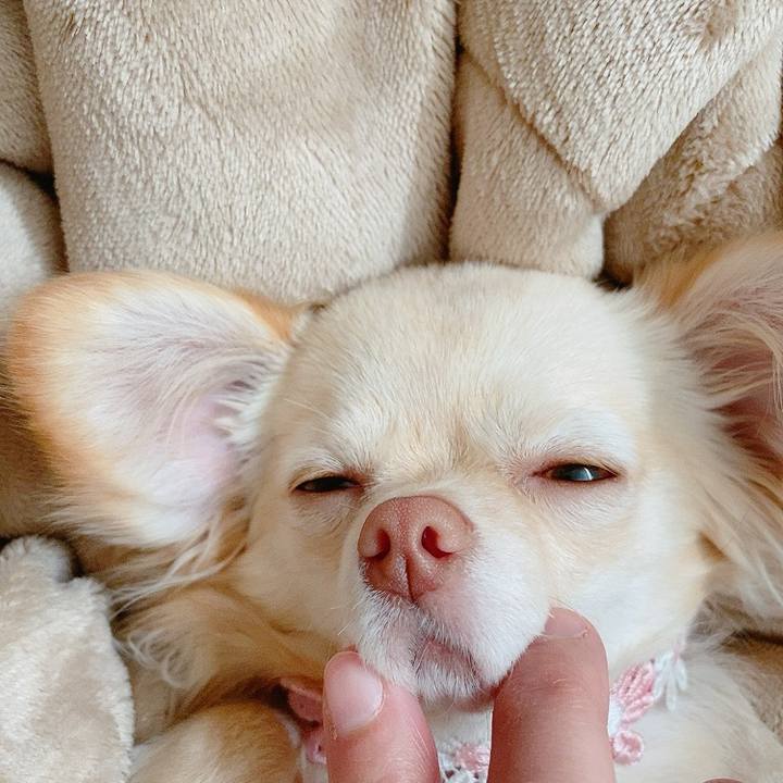 629531a3 1e7f 4599 ab49 a7bfa806acc0 1614313716512