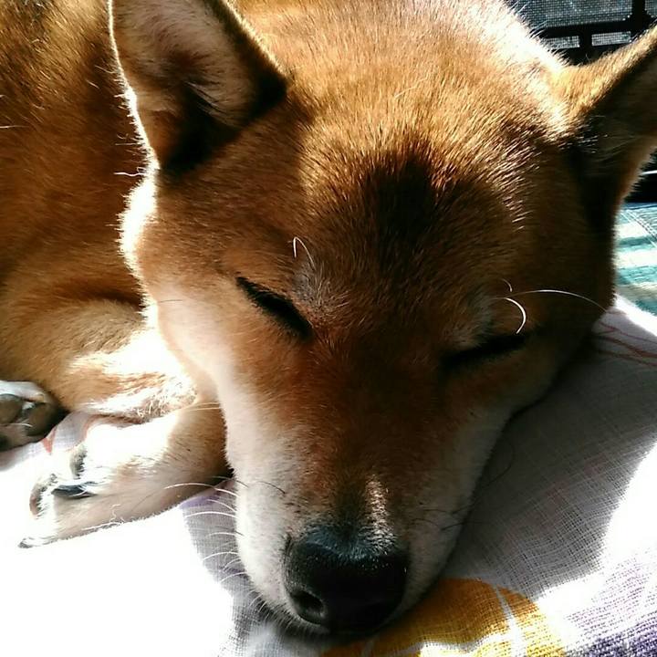 62955b25 f5c9 49e2 ae17 fcddfe473c44 1539655128518