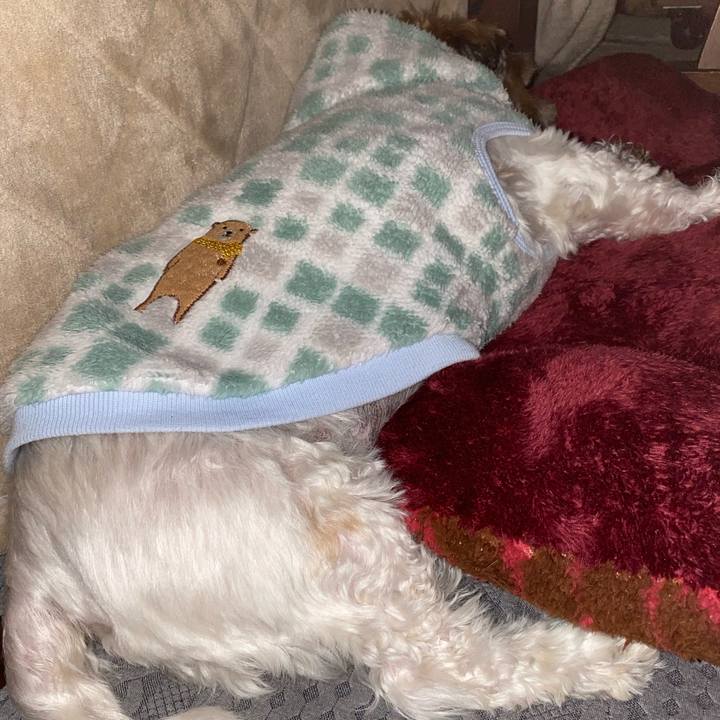 629573d2 54af 4796 838d ae3e3bbd6ce2 1642041964137