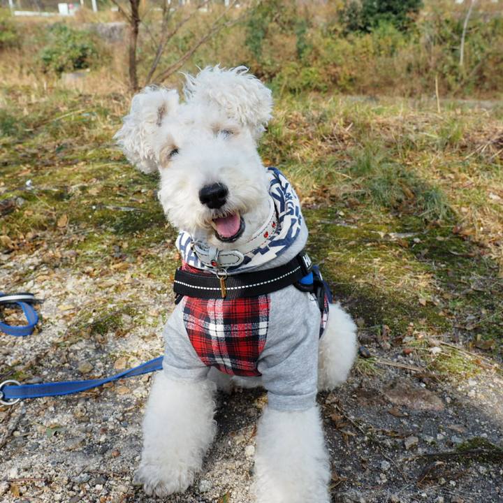 62958dc0 a99d 416d bb80 26926edca9bf 1510375915993