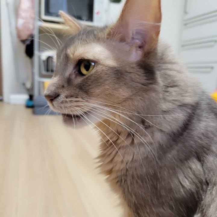 6295f9e9 0a0a 4f96 8868 c0d588ac685e 1655949682620