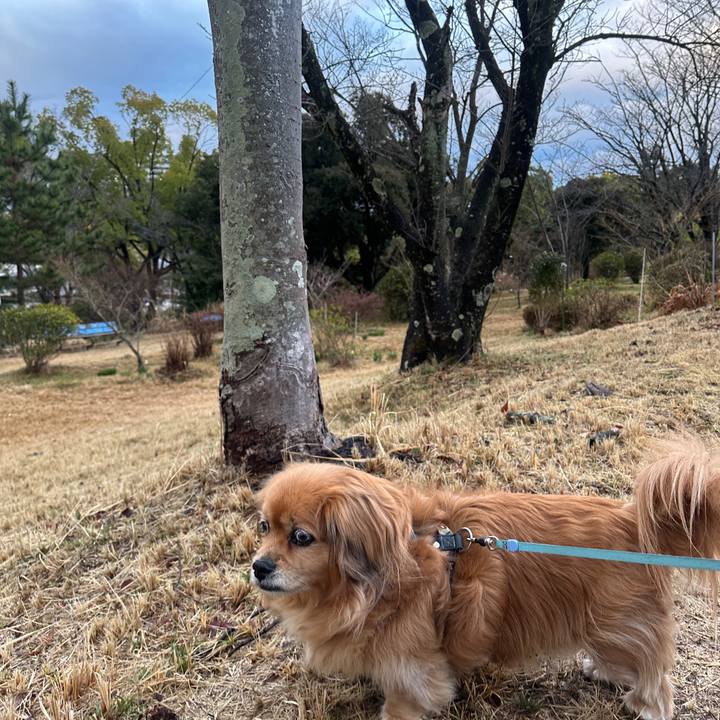 62960b21 db37 4abe 8ca5 139e46df1f4b 1742161682668