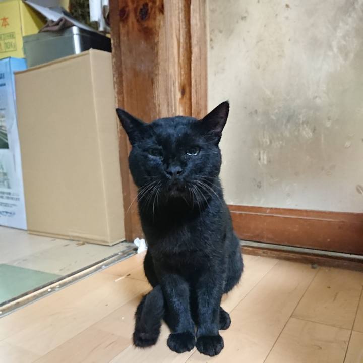 62968a73 d90d 41d1 a9b9 74d7c54cc54e 1629461556557