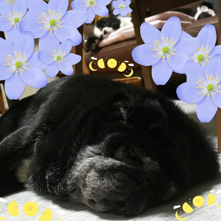 6296a00b ae98 4bdf a9b2 c04d92edaf1f 1534177955759