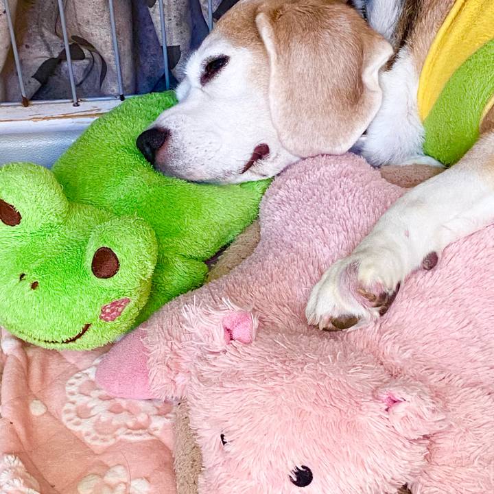 6296a389 5ec1 4ddd 8bec f104e323d6ee 1603259457635