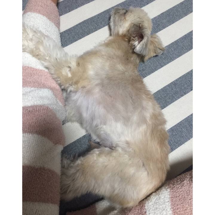 6296d14e 3fc6 4492 9394 350575579623 1540293753303