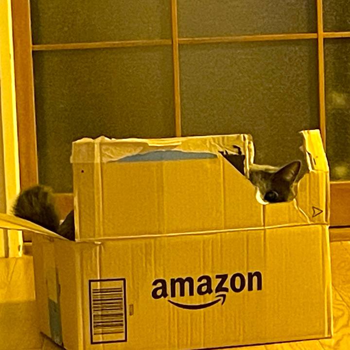 6296e635 4341 44ea 9ff4 ec59d5d55dd6 1657970859916