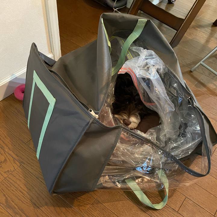 62970464 fab1 4c02 8fb1 e4f65b1a5130 1616428820587