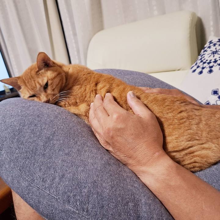 62971906 6900 4e63 b84a 71909a17458b 1727955369401