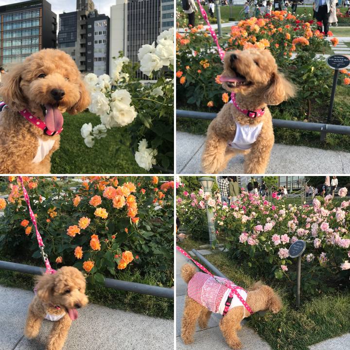 62971f32 a12a 46e0 8023 e308b58a634c 1526821894983