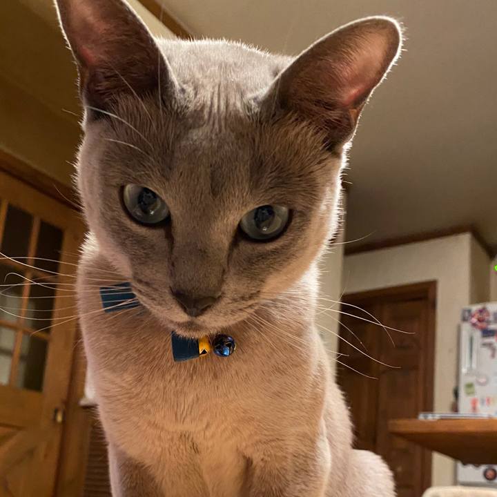 62975f4d 8cca 4ae1 a683 3ab4e045f4f4 1579873250985