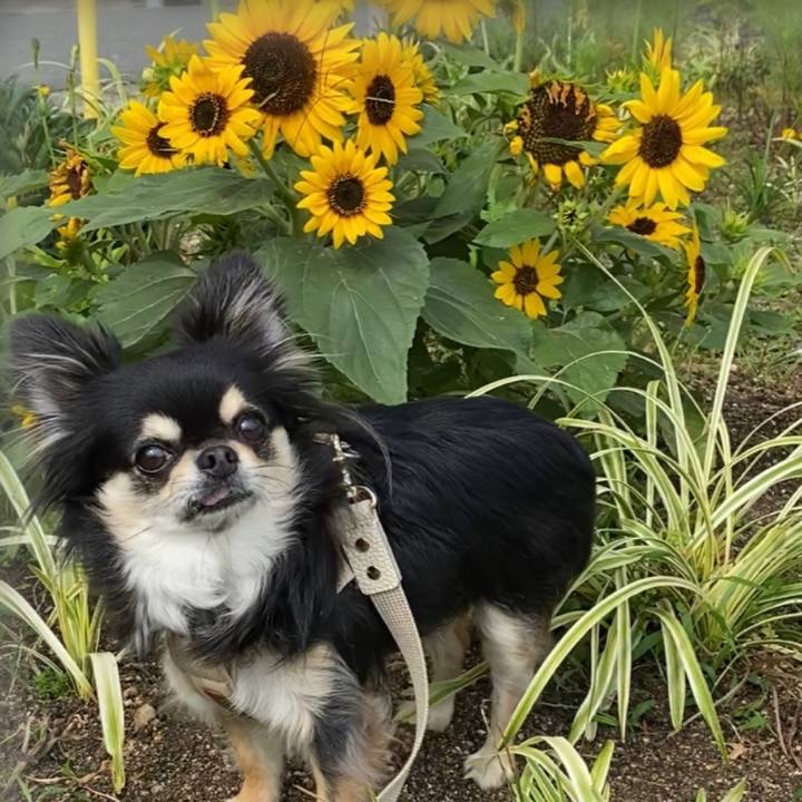 62976dab 5d3a 440e 8523 fb39a6c50923 1627628526777