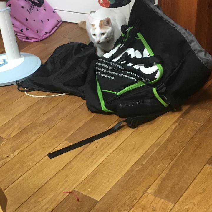 6297b051 c363 4527 ac93 adb3ef26f7fa 1532862717909