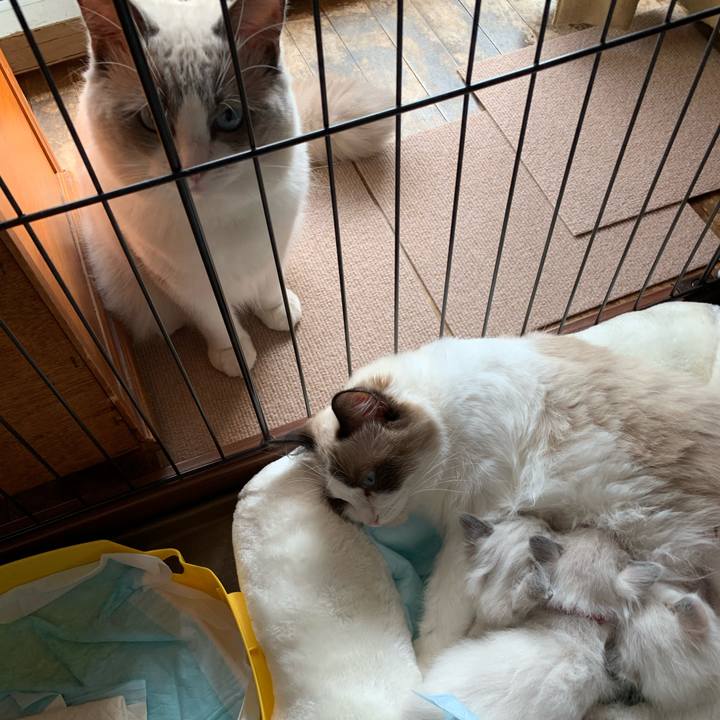 6297c4ef 8ff7 408c 967e bc9f58e7e661 1640395147912