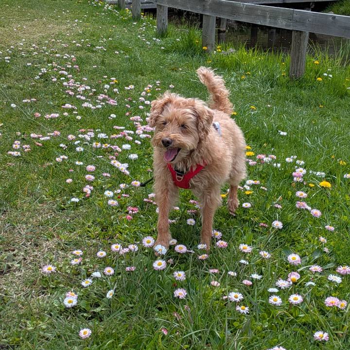 6297c779 bc47 4441 aba7 feb0b3564fbb 1747049469622