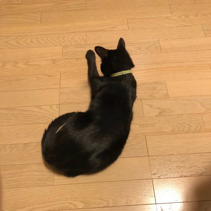 6297e947 605d 47f0 be11 cf888b23ba85 1542637605913