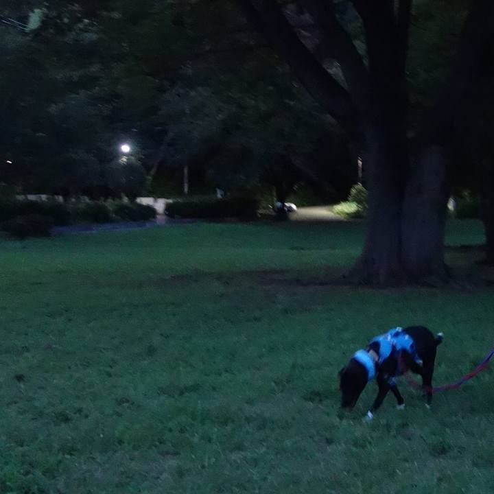 6297f93a 05d0 47f3 9677 52b565f82cb7 1628593326998