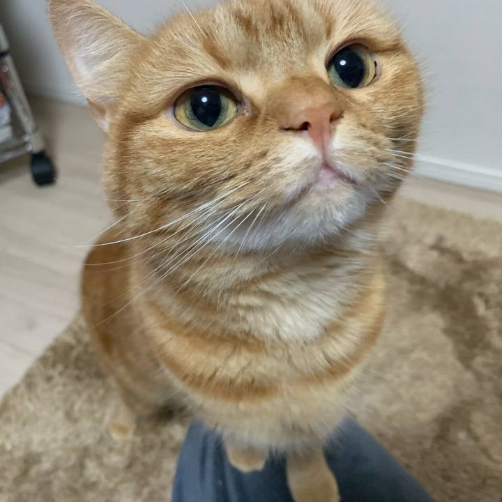 62982cb7 c23d 4355 8c09 c3a60e1201ce 1584231305107